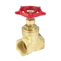 1" Threaded Brass Gate Valve