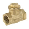 3/4" Threaded Brass Swing Check Valve