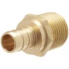 Lead Free PEX Insert Male Adapter - 1/2" - 25/Pack
