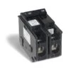 Homeline Double Pole 100-Amp CHOM Plug-On Circuit Breaker