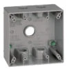 Thomas & Betts 2-Gang Silver Metal Weatherproof Interior/Exterior New Work Standard Rectangular Electrical Box