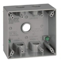 Thomas & Betts 2-Gang Silver Metal Weatherproof Interior/Exterior New Work Standard Rectangular Electrical Box