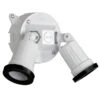 REDDOT 2-Light 150-Watt (0 W Equivalent) White Low Voltage Led Landscape Flood Light Kit