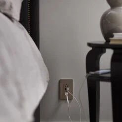 Legrand Radiant 15 125-Volt Nickel Indoor Decorator Wall Outlet/USB