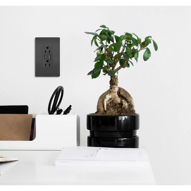 Legrand 15-Amp 125-Volt Black Indoor Decorator Wall Outlet/USB - Image 2