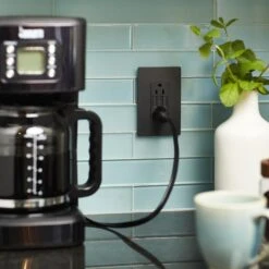 Legrand Radiant 15.0-Amp 125-volt Graphite Indoor Decorator Wall Outlet