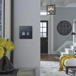 Legrand Radiant 2-Gang Graphite Double Decorator-ft Wall Plate