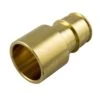 Waterline 3/4-in F SWT X 3/4-in Brass Adapters - Pack Of 25