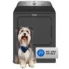 Maytag Pet Pro 7.0-cu Ft Black Electric Dryer