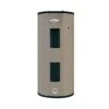 Whirlpool 50-Gallon 240-Volt Short Double Element Electric Water Heater (12 Year)