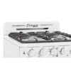 Unique Classic Retro Marshmallow White 24-in 4 Burners 2.9-cu Ft Manual Cleaning Convection Oven Freestanding Gas Range