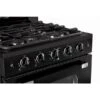 Unique Classic Retro Black 30-in 4 Burners 3.9-cu Ft Manual Cleaning Convection Oven Freestanding Gas Range