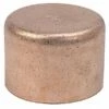 Plumbing N Parts 1-in W Copper End Cap, Pack Of 10