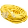 Woods 12/3 Extension Cord - Yellow Jacket - Triple Outlet - 30 M